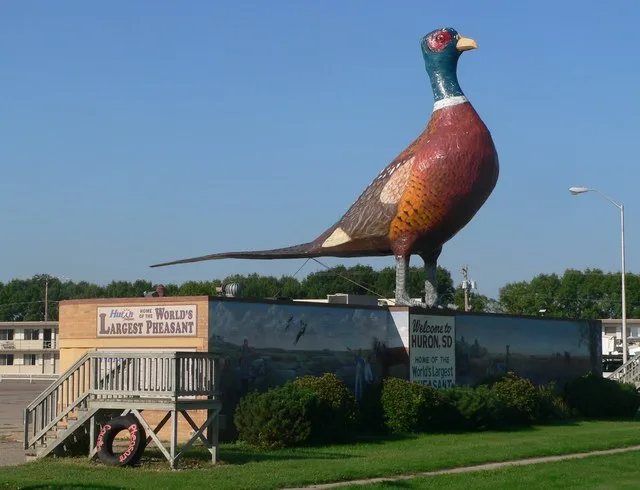 "World's Largest Pheasant", on south side of U.S. Highway 14 in Huron, South Dakota; seen from the northeast.