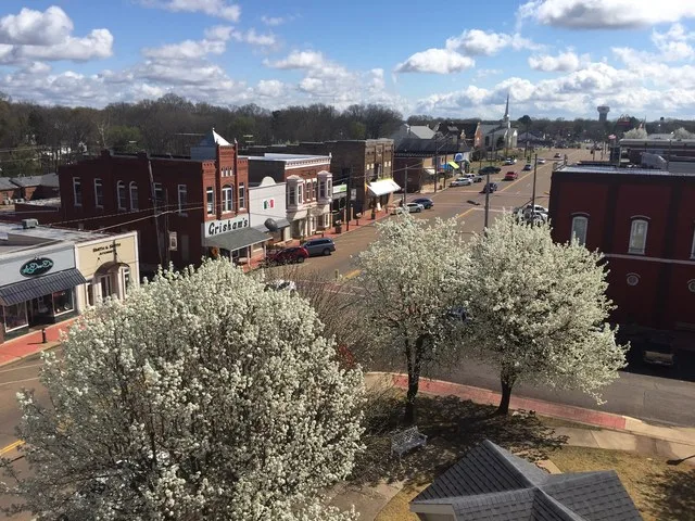 From atop the courthouse looking east with Bradford Pears in full bloom