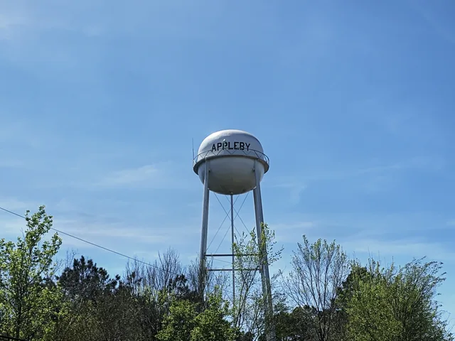 Water tower in Appleby, Nacogdoches County, Texas, photographed on March 17, 2026.