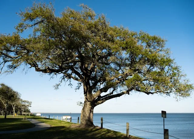 McCollum Park, Beach City, TX 3/22/22