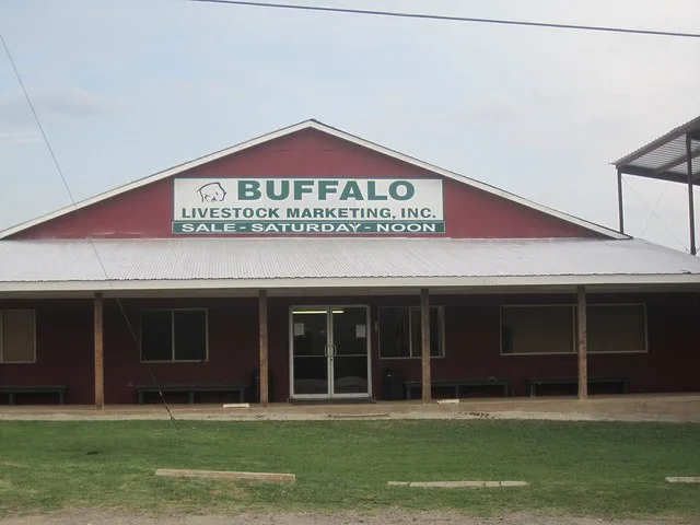 I took photo of Buffalo, TX, livestock auction barn with Canon camera.
