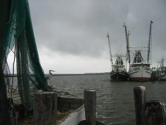 The Fulton, Texas, harbor offers a city dock featuring slips for commercial fishing boats, live-aboard vessels, and recreation boats.