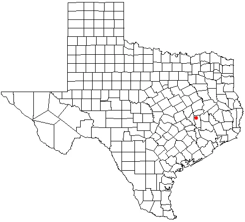 Iola, Texas location map; created with the GIMP. Made by User:Acntx .