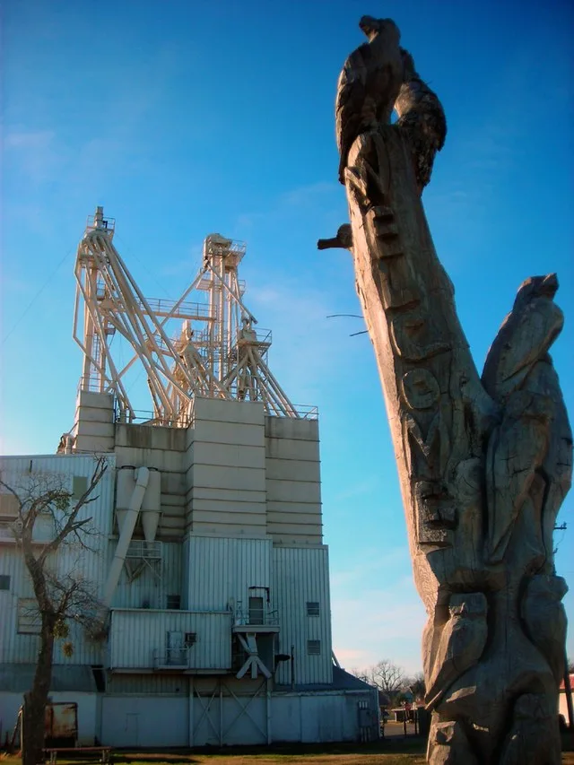 An ornate wood carving in a tree trunk in Muenster, Texas with the Muenster Milling facility in the background.