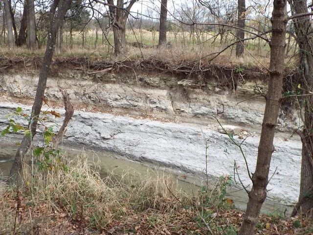 Austin Chalk, Rowlett Creek, Oak Point Park, Plano, Texas, November 27, 2020
