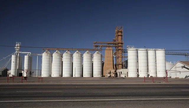 Row of grain silos in Olton, Texas .