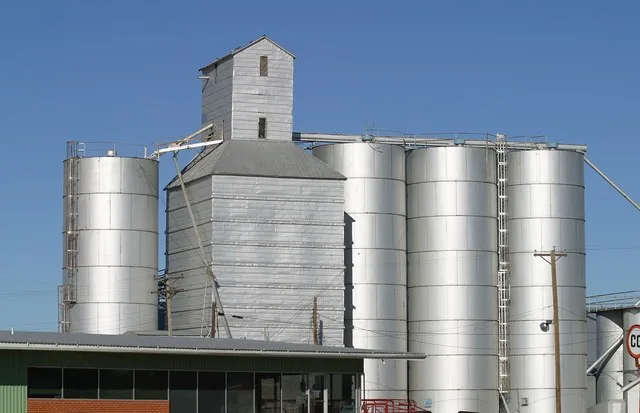 Grain elevator, Petersburg, Texas .