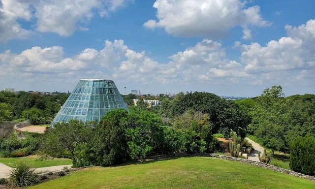 View from the highest point in the San Antonio Botanical Garden
