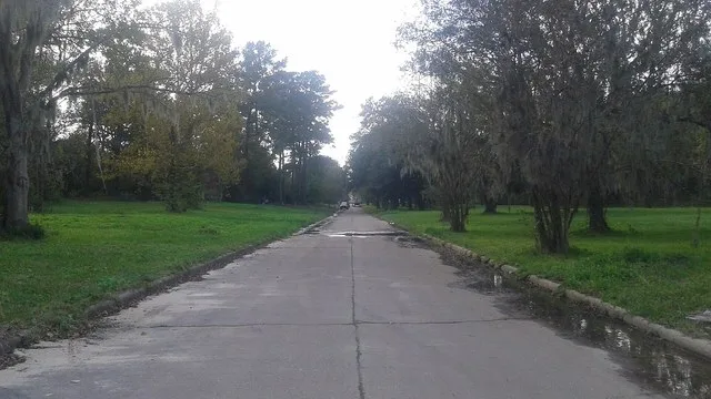 North Woodloch Street, facing west, in Woodloch, Texas.