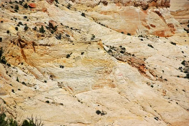 Navajo Sandstone (Upper Triassic to Lower Jurassic; east of Escalante, Utah, USA) 4