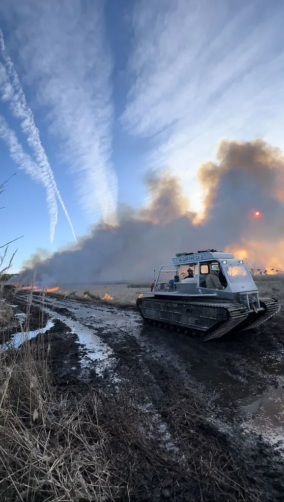 Prescribed fire at Saxis Wildlife Management Area in Virginia