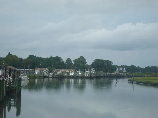 Salt marsh and fishing boats in Wachapreague, Virginia .