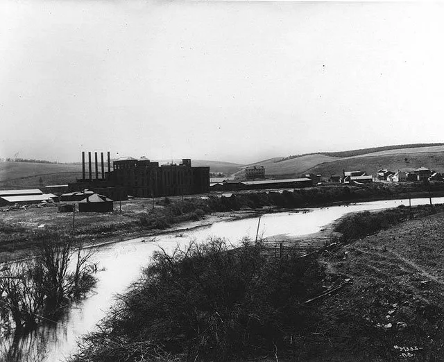 Seen from across Hangman Creek. Subjects (LCTGM): Sugar industry--Washington (State)--Waverly; Industrial facilities--Washington (State)--Waverly; Rivers--Washington (State) Subje...