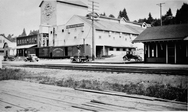 The Washington Co-op building in Winlock WA circa 1930. The Northern Pacific railroad tracks and depot also appear in the photo.