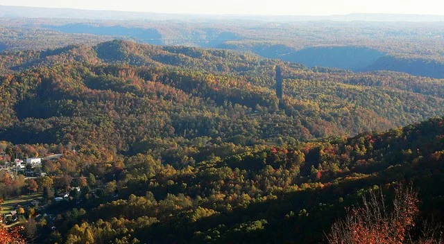 View from the top of Gauley Mountain, looking over the town of Ansted towards the New River Gorge and the New River Gorge Bridge , nearly six miles away. Photo taken with a Panaso...