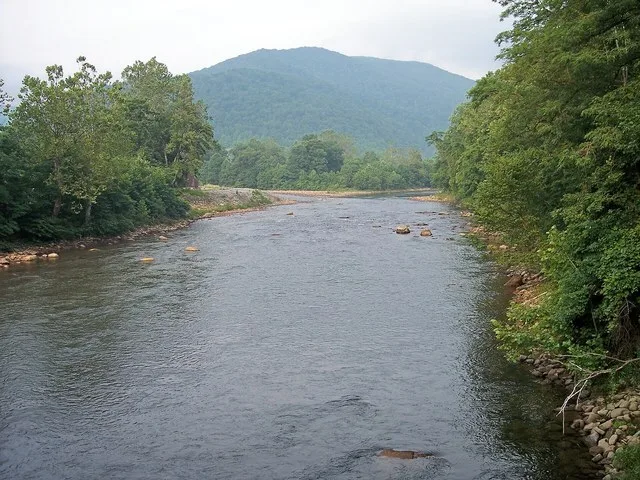 An upstream view of the Black Fork at w:Hendricks, West Virginia . The confluence of the Blackwater River (left) and the Dry Fork (right) (which join to form the Black Fork) can b...