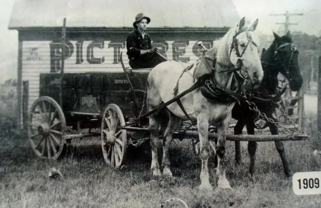 Clive Alderman with wagon and horses. Photo taken at Hillsboro by Howard Clark at his studio. Mr. Alderman was hauling from Seebert to Lobelia for G. H. Dean.