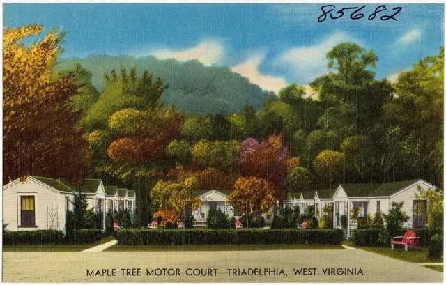 Title: Maple Tree Motor Court, Triadelphia, West Virginia Subjects: Motels Places: West Virginia > Ohio (county) > Triadelphia Notes: Title from item. Extent: 1 print (postcard) ...