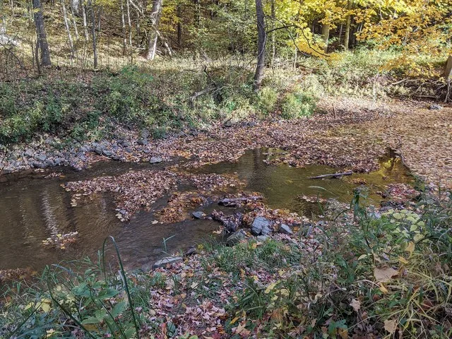Stream in Don Fries Recreation Area in October 2020