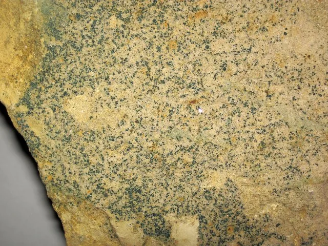 Glauconitic quartz sandstone from the Cambrian of Wisconsin, USA. (field of view ~7.7 centimeters across) Sandstone is the second most common sedimentary rock on Earth. It is a si...