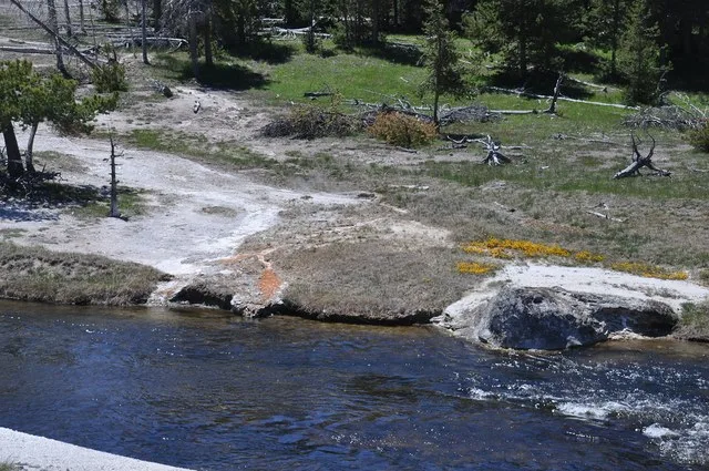 Dungeon Geyser (near center) & unnamed riverside geyserite cone (lower right) 14.5 meters north of Dungeon Geyser (late morning to early afternoon, 1 June 2013)